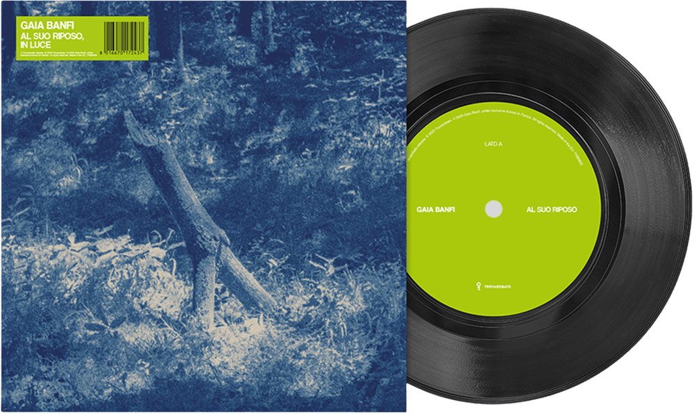 Cover Al suo riposo, in luce